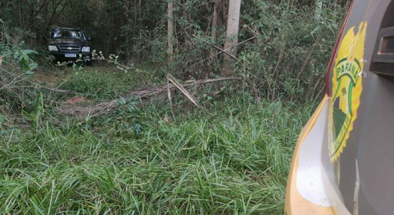 S10 Icaraíma