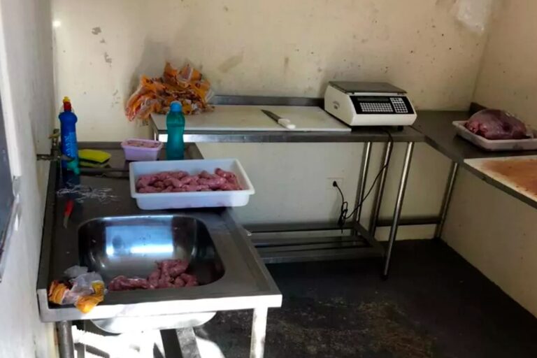 carnes