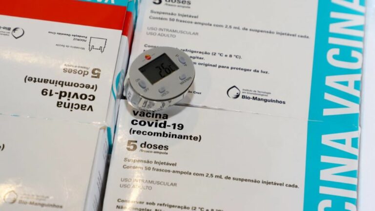 vacina gravidas