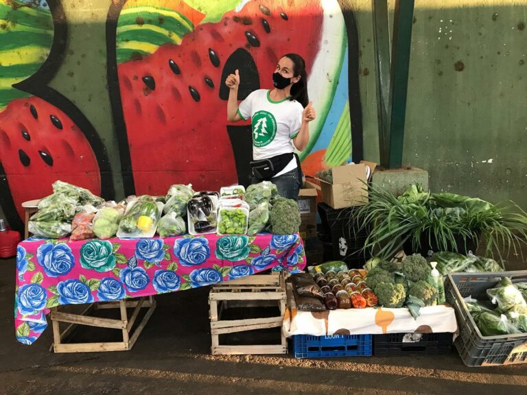 Faisca terá lançamento de zine, shows e produtos agroecológicos neste sábado