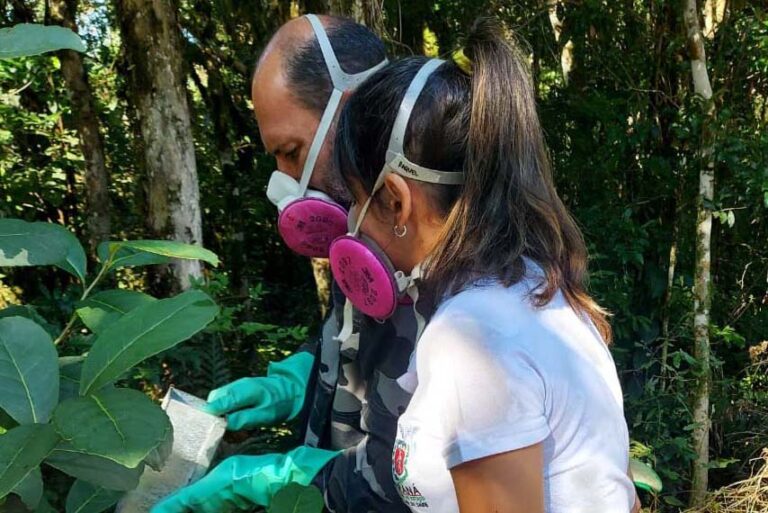 Equipes da vigilância investigam dois casos de hantavirose no Paraná