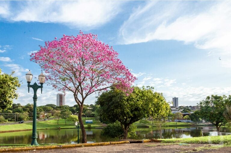 Domingo tem ‘calorão’ de 34 graus em Umuarama e clima requer cuidados
