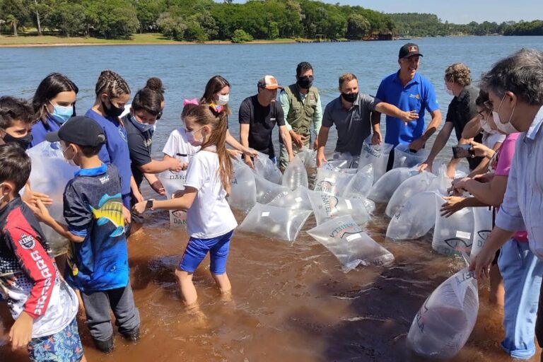 Em programa de repovoamento, Márcio Nunes solta 250 mil peixes no rio Mourão