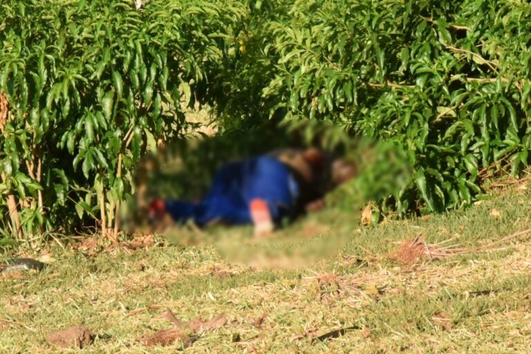 Corpo de homem encontrado morto em Lovat não tem indícios de crime, diz polícia civil