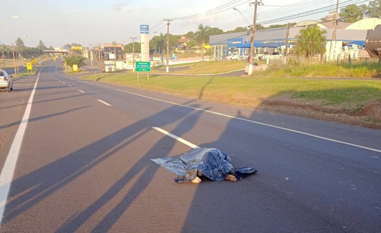 Atropelamento nas primeiras horas da manhã deixa um morto em Umuarama