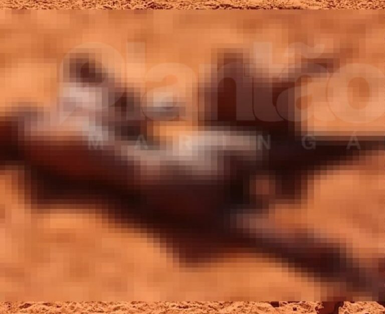 Homem encontra cadáver em avançado estado de decomposição perto da rodovia PR-317