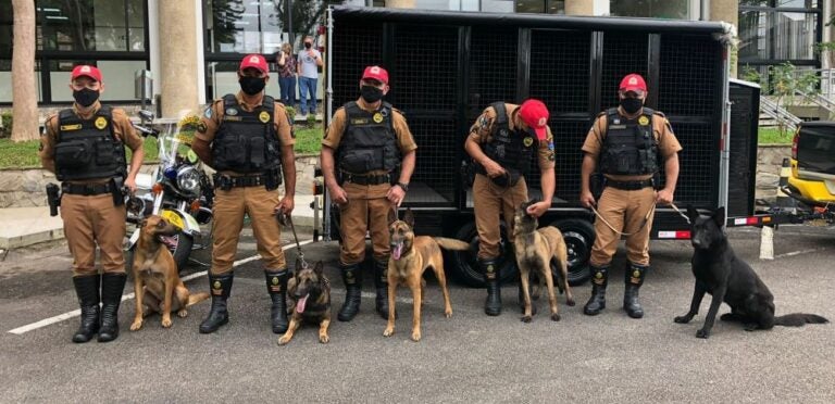 Batalhão de Polícia Rodoviária recebe cinco cães de faro para ações em todo estado