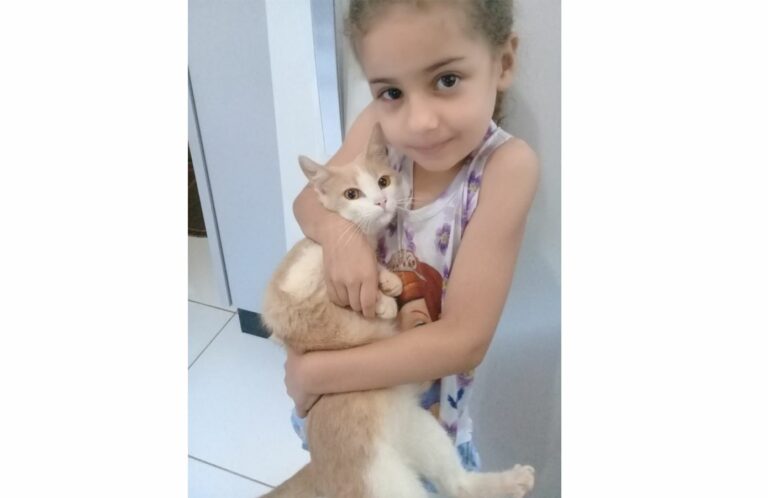 Em casa: gatinho ‘Mariao’, que estava desaparecido, volta para os tutores
