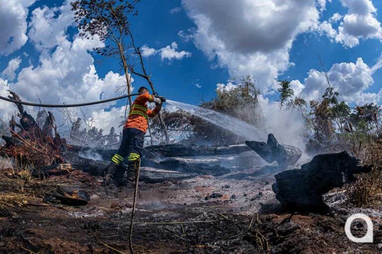 Bombeiros combatem incêndio em área de vegetação pelo segundo dia consecutivo