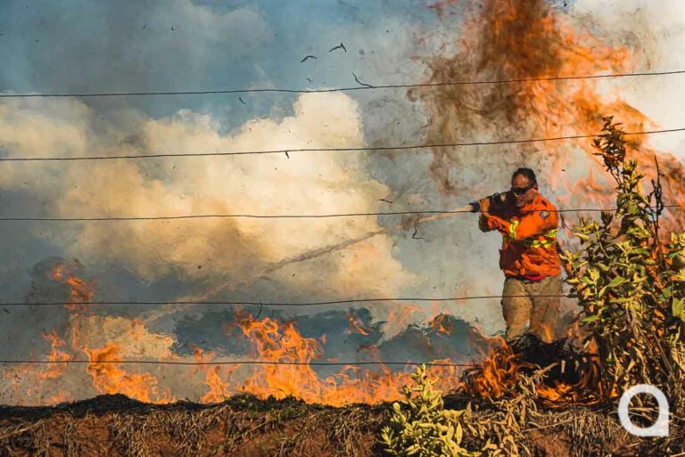 Bombeiros combatem incêndio em extensa área de vegetação em Umuarama