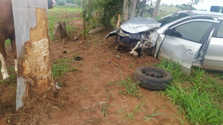 Dois moradores de Umuarama ficam feridos após colisão contra árvores na PR-489