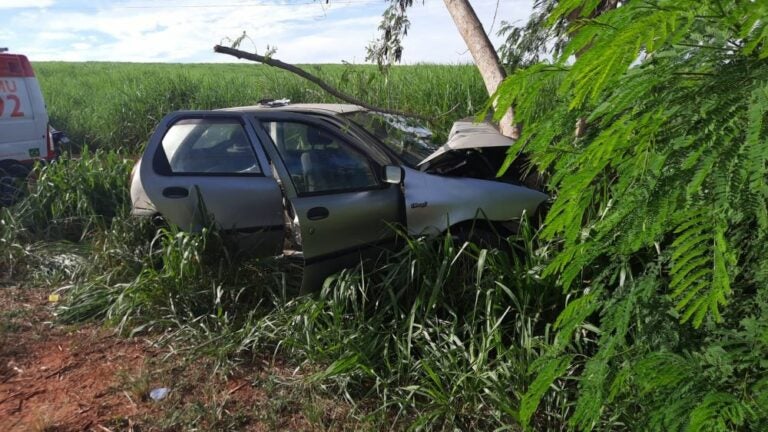Homem morre ao colidir veículo contra árvore na rodovia PR-542