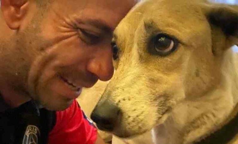 Pandora é encontrada após ter fugido de caixa de transporte no aeroporto de Garulhos