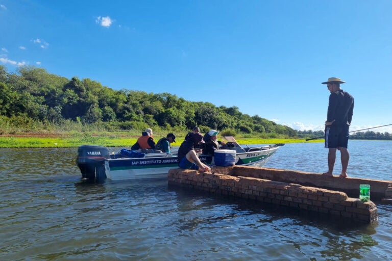 IAT combate desmatamento e pesca ilegal no Oeste e Noroeste e aplica R$ 320 mil em multas
