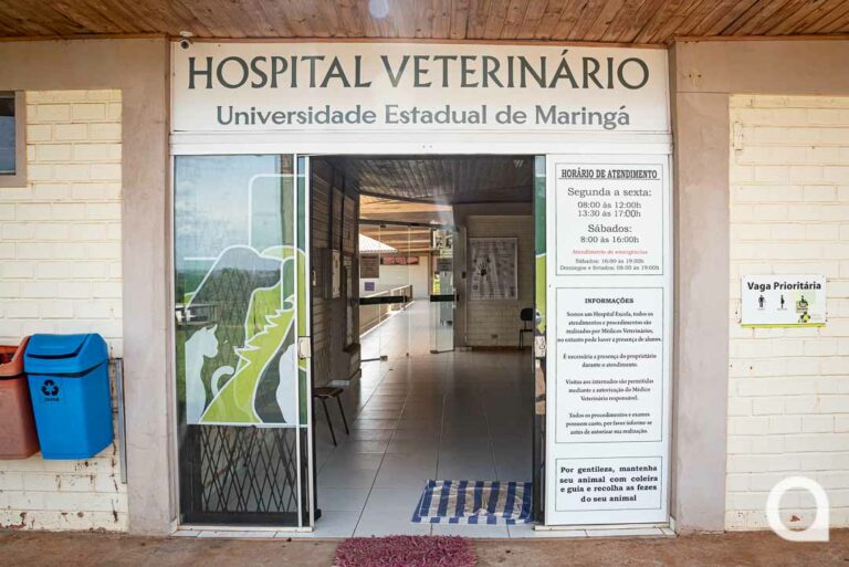 Hospital Veterinário da UEM em Umuarama terá atendimento 24h a partir desta terça