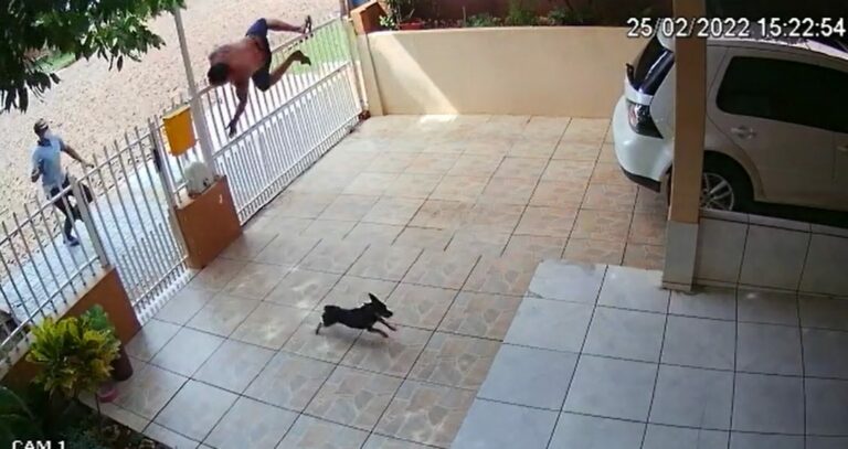 Homem pula portão de casa para escapar de atiradores, mas é morto
