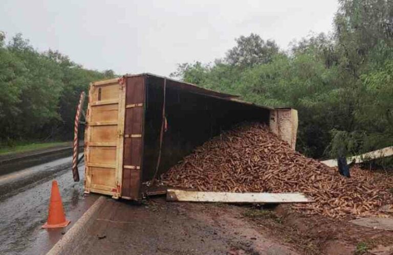 Caminhão carregado com mandioca tomba na rodovia PRC-272, perto de Iporã