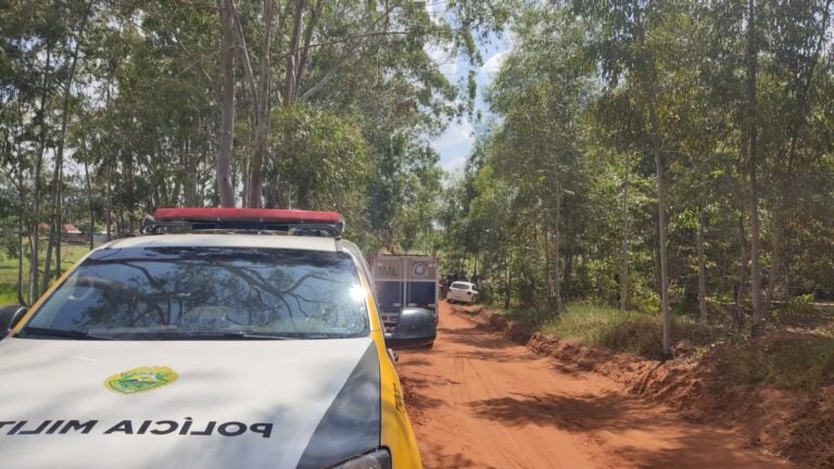 Idoso é encontrado morto em plantação de eucaliptos, na zona rural de Douradina