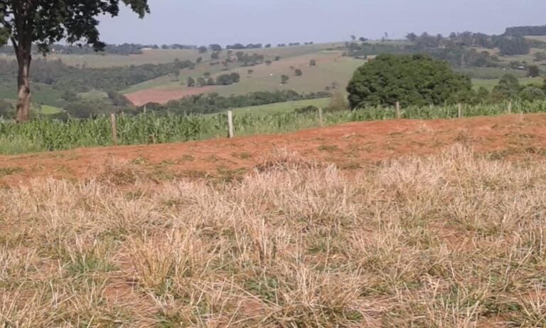 Defesa Civil reconhece situação de emergência em Altônia por falta de chuvas