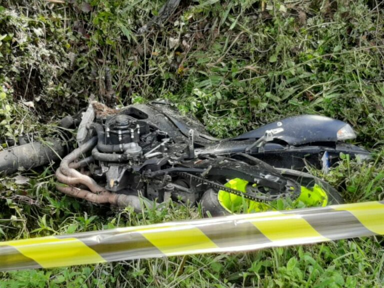 Homem morre ao bater moto em poste e ser atacado por abelhas