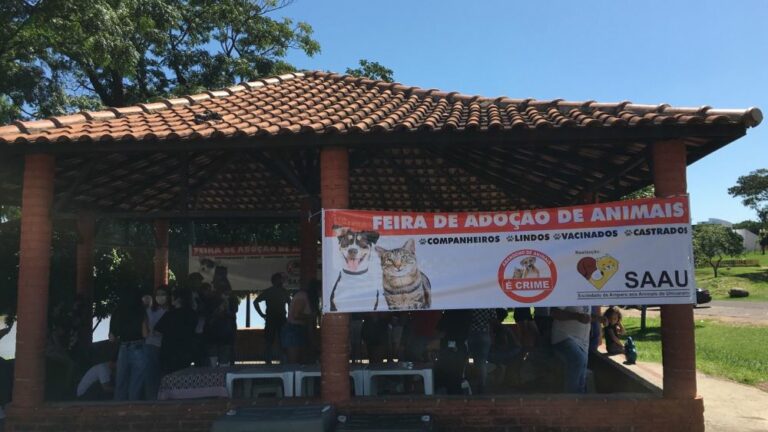 35 animais são adotados durante feirinha realizada pela Saau neste domingo