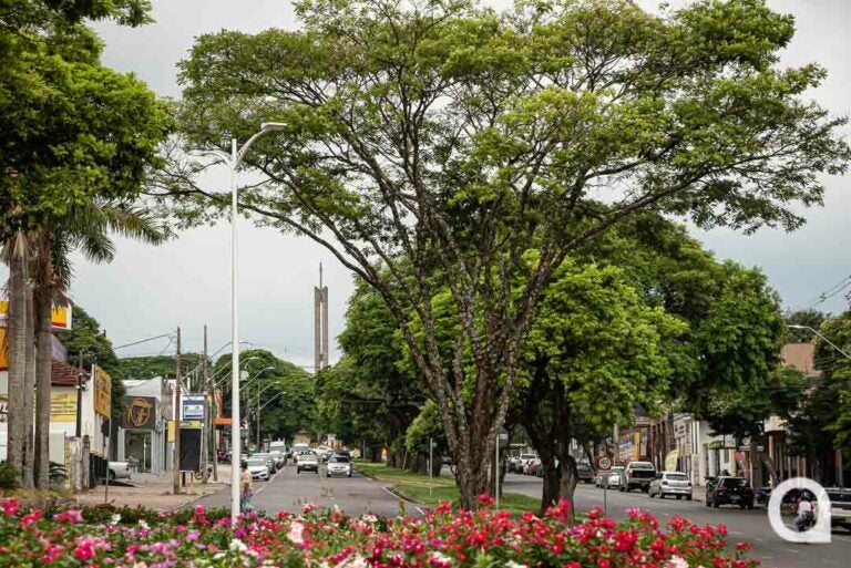 Quinta-feira: Previsão de chuva em Umuarama; região está em alerta laranja