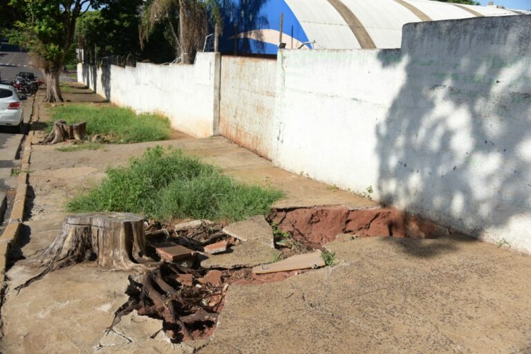 Moradora alerta para existência de buracos em calçada na rua Japurá, em Umuarama