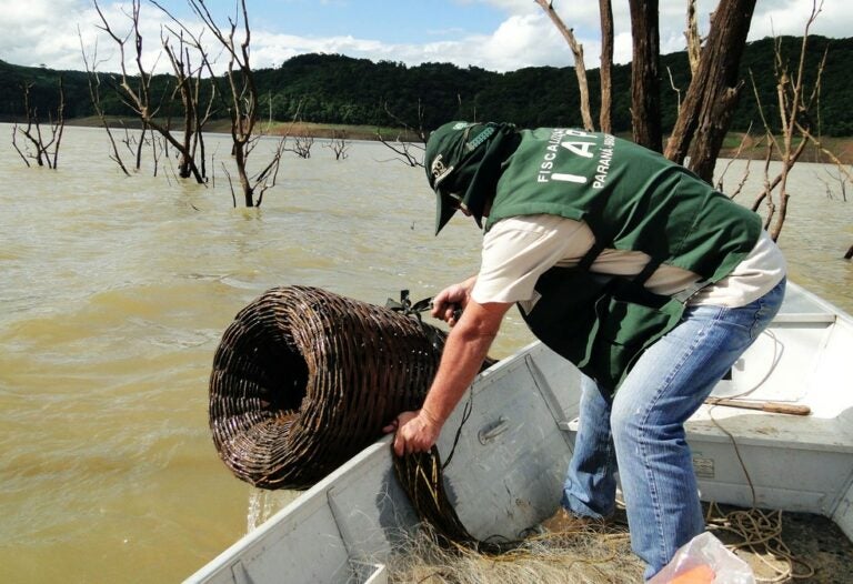 Paraná conclui Piracema após cinco grandes fiscalizações e repovoamento com 770 mil peixes