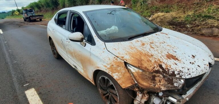 Gêmeos são presos pela PRE após tentativa de roubo na rodovia PR-317