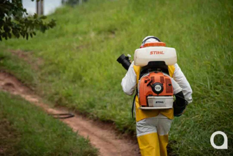 Prefeitura alerta para surto de dengue que já atinge cinco regiões de Umuarama