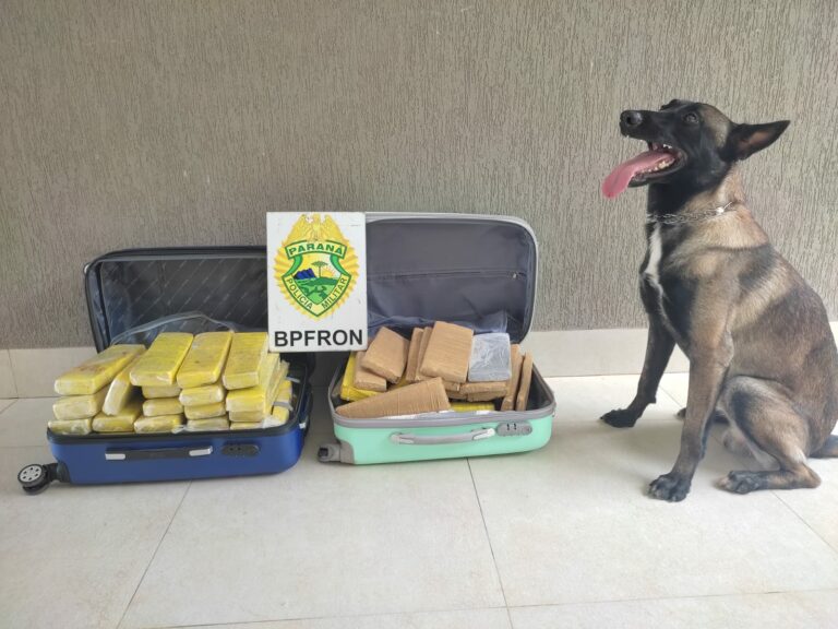 BPFron prende dois passageiros de ônibus que transportavam maconha, em Umuarama