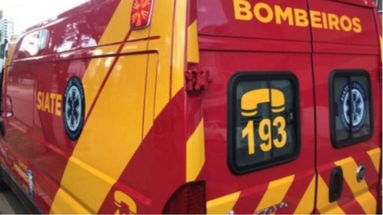 Duas crianças são atacadas por pitbull que invadiu uma creche em Londrina