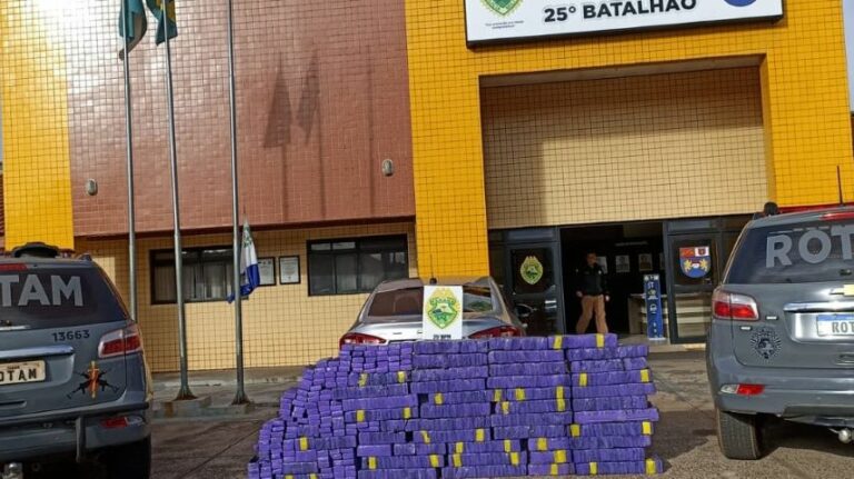 Em oito meses, PM apreende mais de 13 toneladas de maconha em Umuarama e região