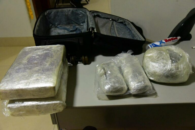 Cão de faro do BPfron localiza quase 13 quilos de maconha em ônibus na rodoviária de Umuarama