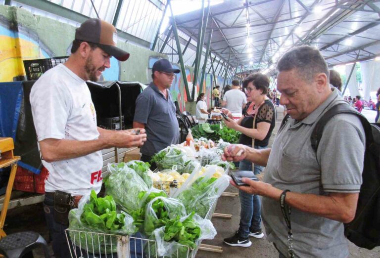 Feira Faisca tem produtos agroecológicos fresquinhos a partir das 16h