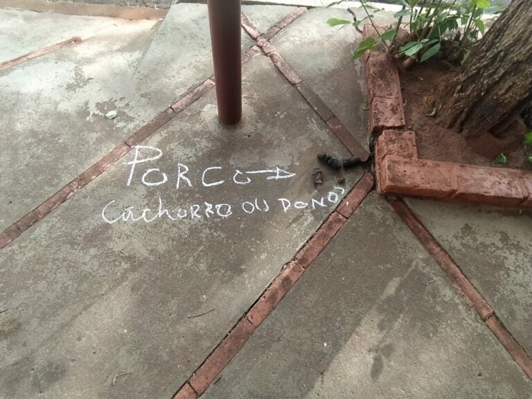 Porco é o cachorro ou dono, revolta-se moradora ao encontrar cocô na calçada