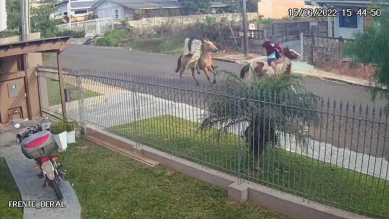 Homens furtam casa e levam objetos no lombo de cavalos