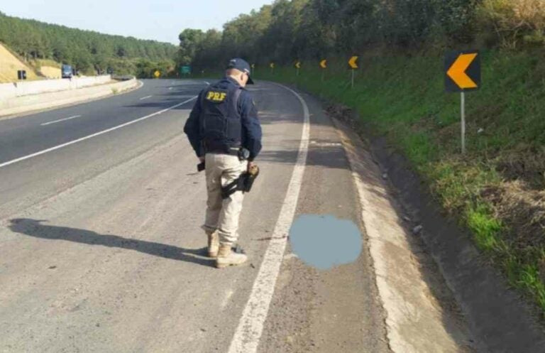 PRF encontra cabeça decapitada no acostamento da rodovia BR-376