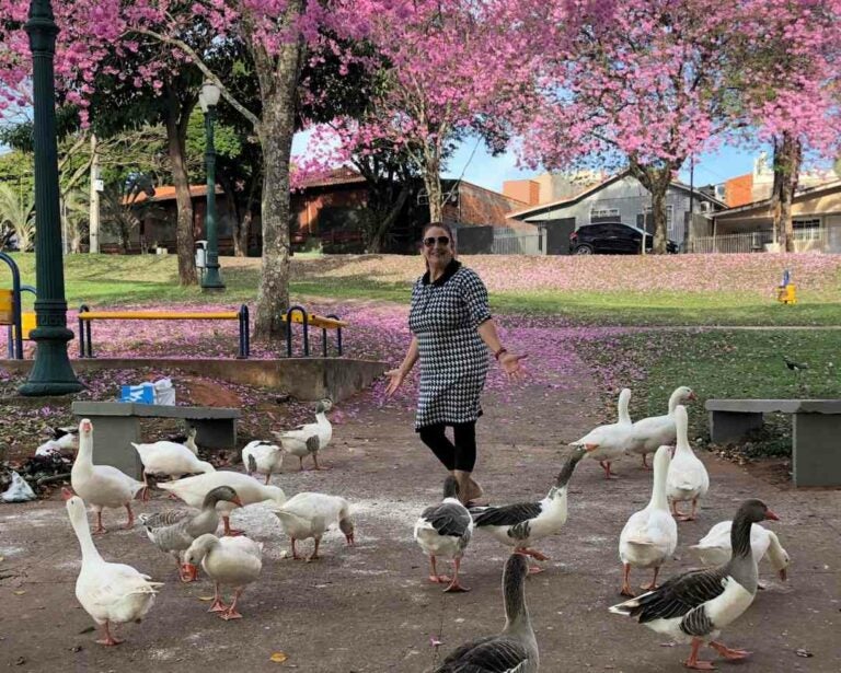 Aposentada alimenta patos e gansos no Lago Aratimbó e diz que momento a deixa mais feliz