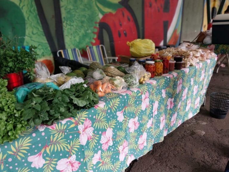 Feira Faisca terá produtos agroecológicos fresquinhos à venda a partir das 16h