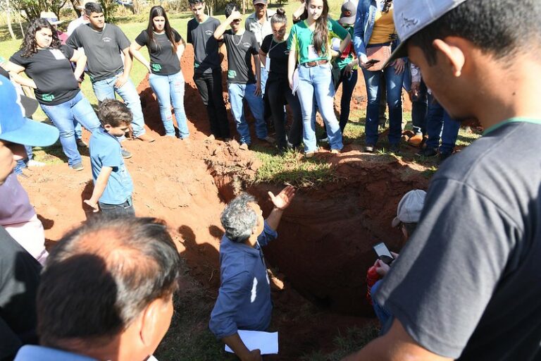 Dia de campo orienta produtores de Umuarama sobre o combate às formigas cortadeiras