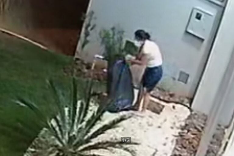 Mulher furta plantas de clínica no centro de Umuarama e é flagrada por câmeras