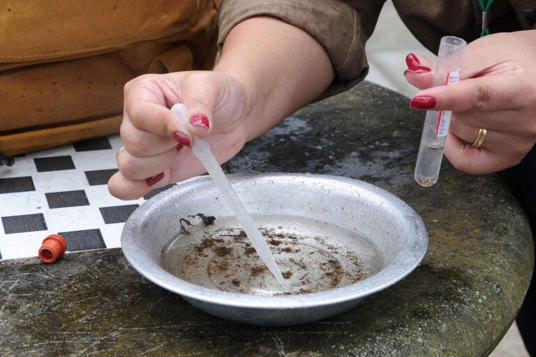 Casos de dengue seguem aumentando e Regional de Umuarama chega a 5.566 infectados