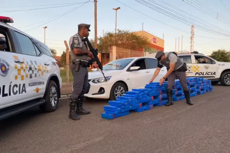 Adolescentes saem de Umuarama com 504 kg de maconha e são interceptados na SP-421