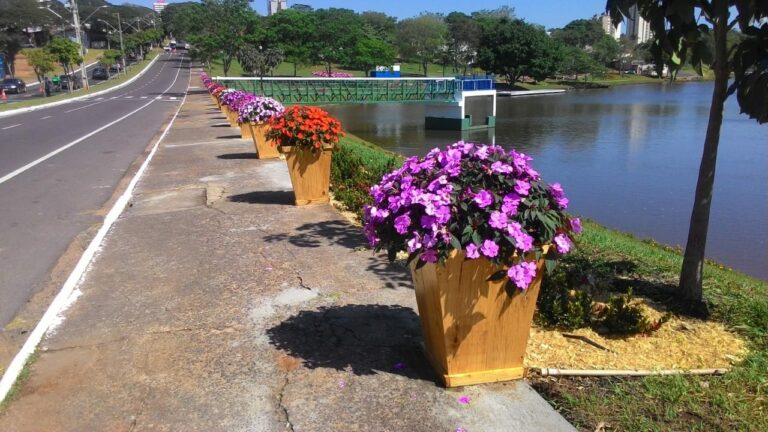 Alguém percebeu o toque de beleza no Lago Aratimbó?