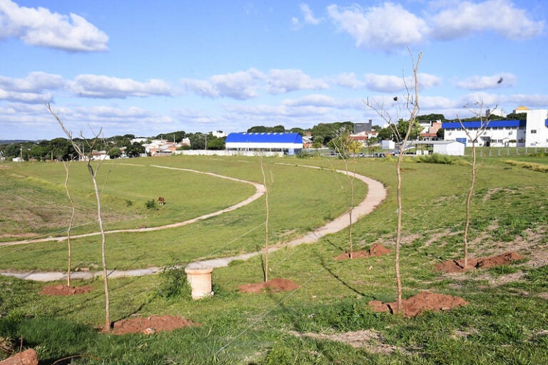 Dia Nacional do Campo Limpo: Parque dos Ipês recebe mais 220 mudas de árvores