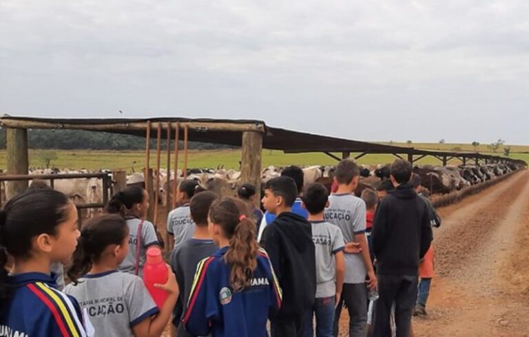 Estudantes visitam confinamento de gado como atividade do Projeto Agrinho