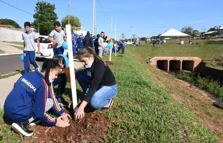 No Dia do Campo Limpo, alunos de Umuarama ajudam no plantio de 220 mudas de ipê amarelo