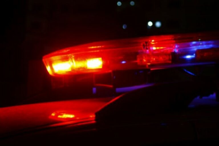Homem vende cascas de pau como remédio e leva R$ 700 de moradora em Umuarama