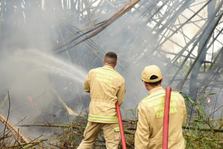Bombeiros controlam incêndio em vegetação às margens da PR-323 em Umuarama